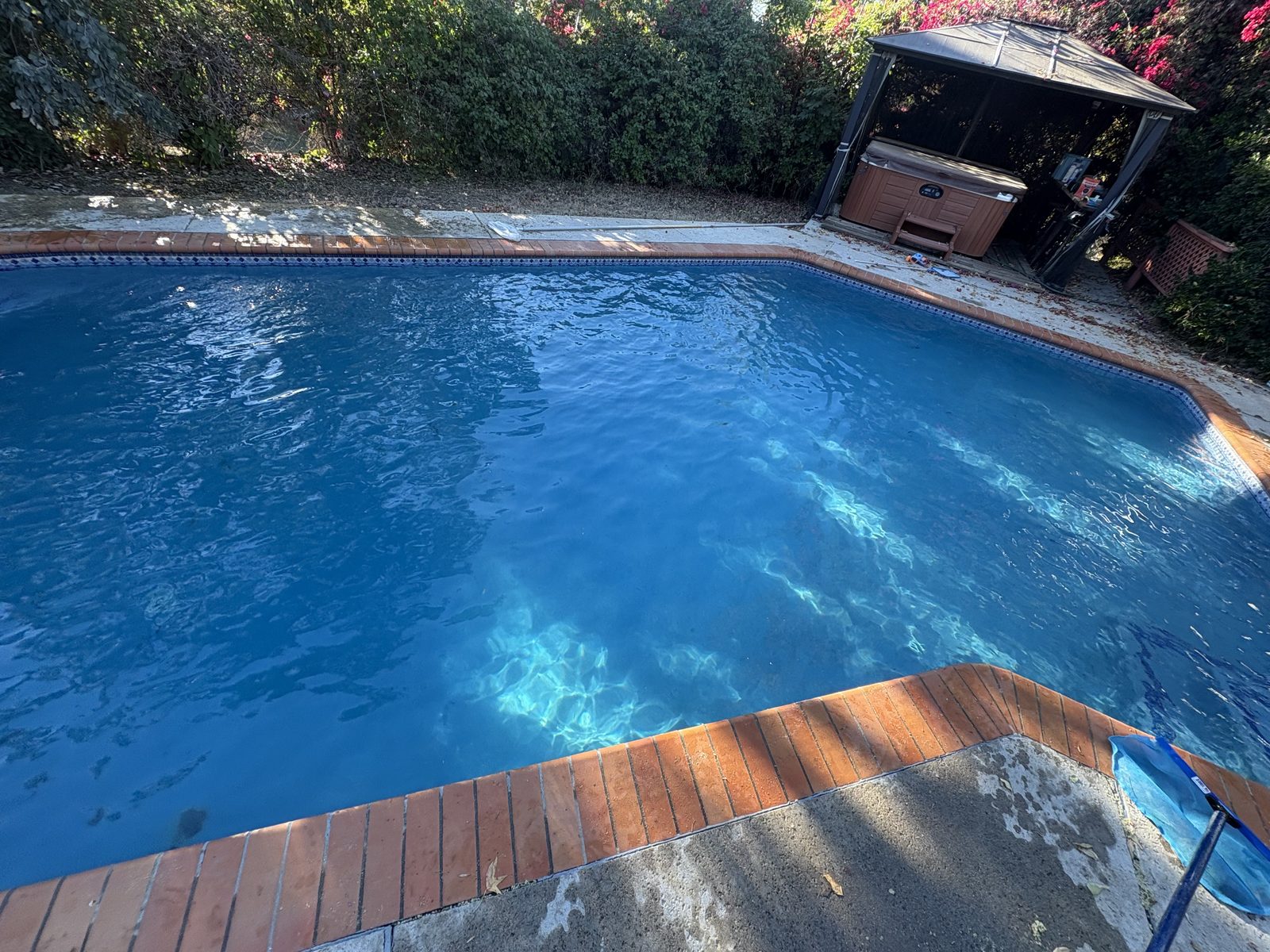 Sparkling clean pool after Dynasty Pool Care weekly maintenance