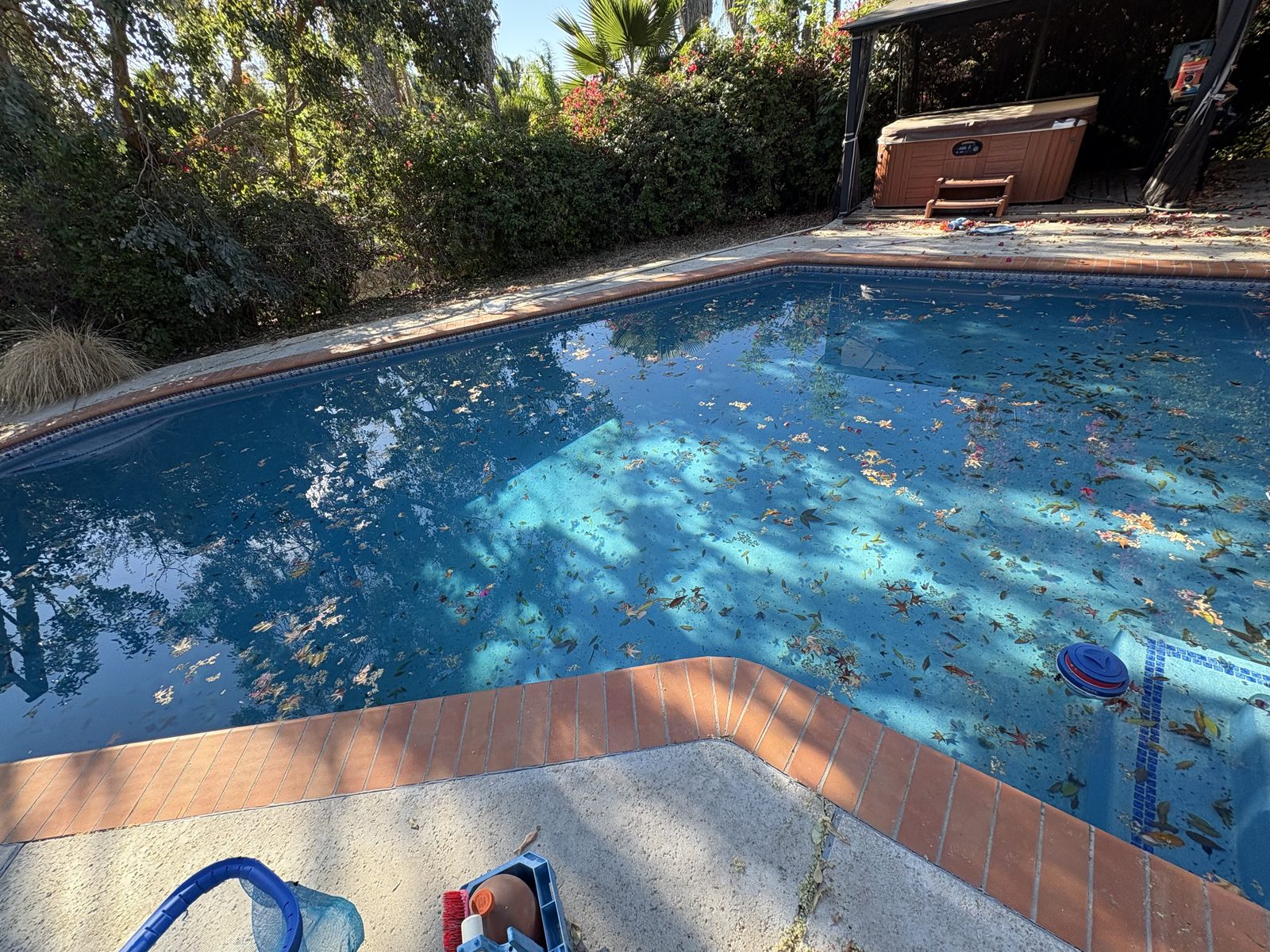 Cloudy neglected pool before professional cleaning