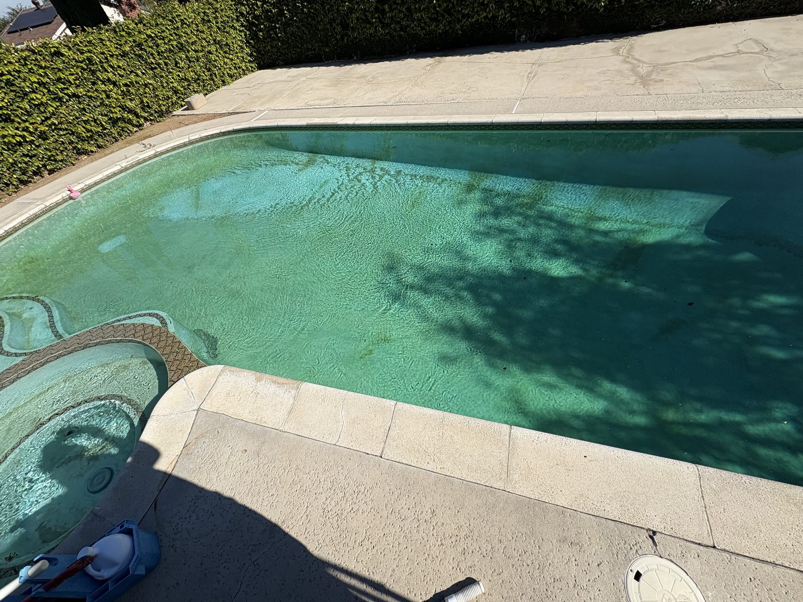 Algae-filled pool before service